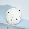 Sass & Belle Bear Face Coin Bank