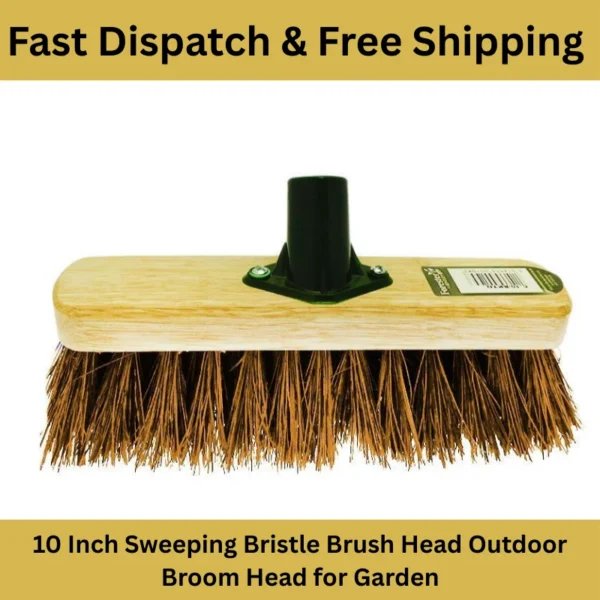 Outdoor Broom & Yard Sweeper