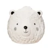 Sass & Belle Bear Face Coin Bank