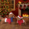 Set of 2 Lighted Dachshund Dogs | 115 LED Christmas Outdoor/Indoor Decor